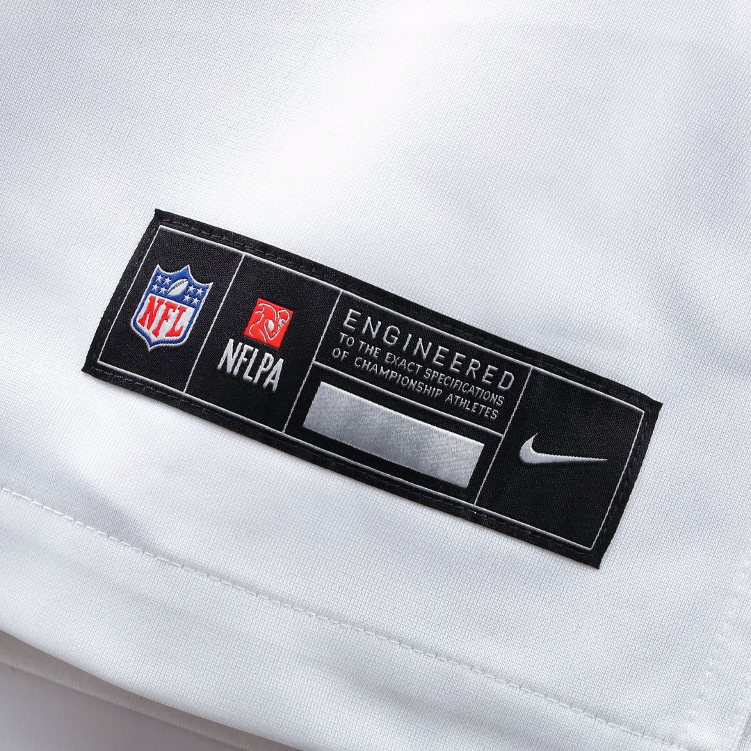 Washington Commanders Sean Taylor Nike Black Hail Raiser Alternate Retired Game Jersey