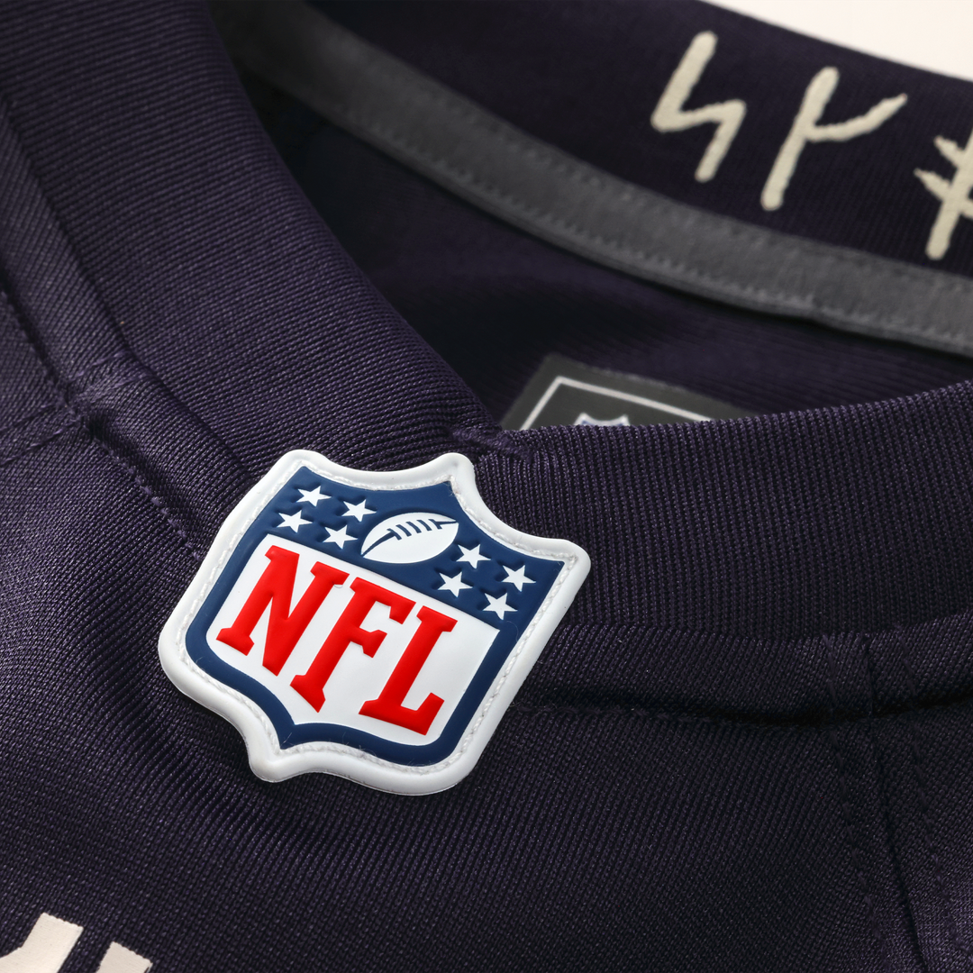 Minnesota Vikings Andrew Van Ginkel Nike Purple 2026 Rivalries Collection Game Jersey